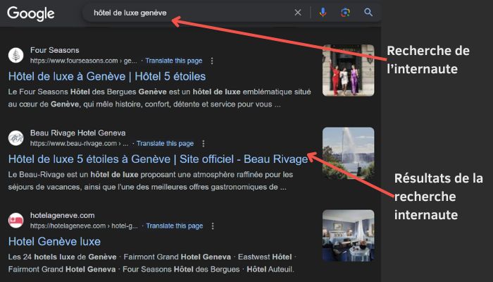 serp-resultats-requete-internaute-exemple-seo.jpg